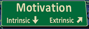 Motivation-intrinsic-extrinsic-300x100w
